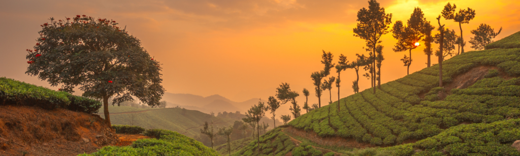 Fréquemment aux Questions sur les voyages en Inde