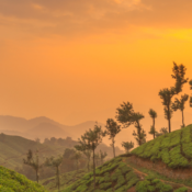 Fréquemment aux Questions sur les voyages en Inde