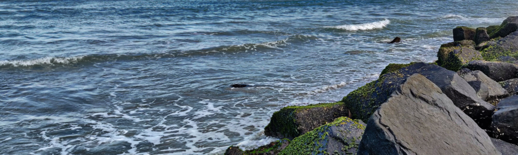 Que voir à Pondichéry