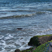 Que voir à Pondichéry