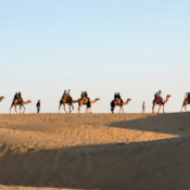 Top 10 lieux touristiques à visiter au Rajasthan