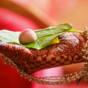 Les rites et particularités des mariages hindous