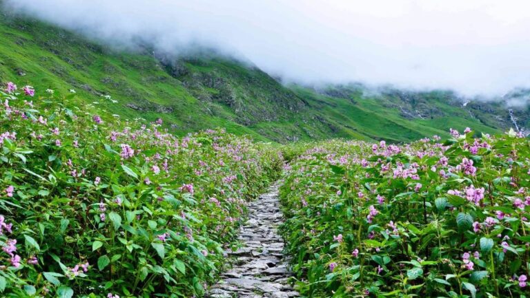 Les Meilleur Trekking au Uttarakhand et Himachal