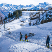 Destination de voyage Shimla dans l’Himalaya