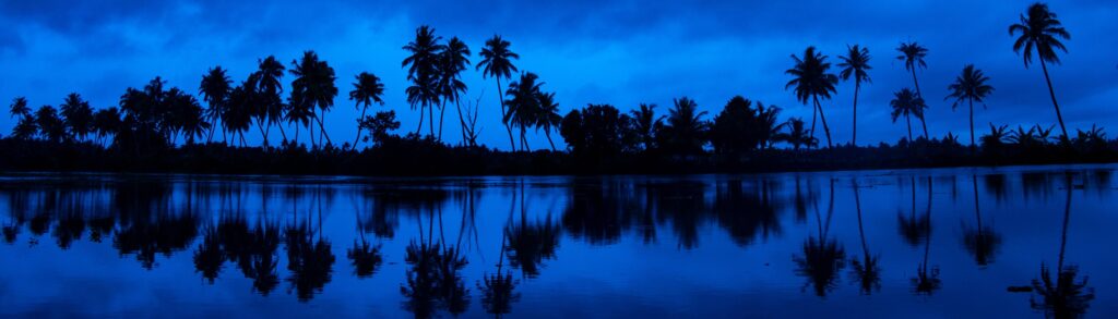 Les magnifiques backwaters du Kerala