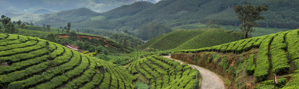 L’ ultime guide de voyage du Kerala!!