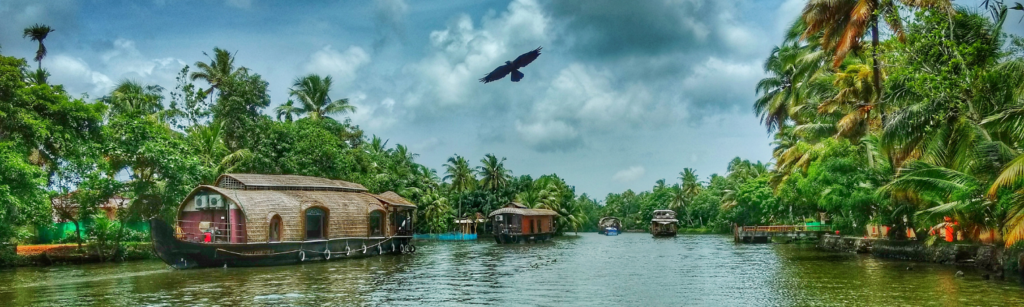 Les magnifiques backwaters du Kerala