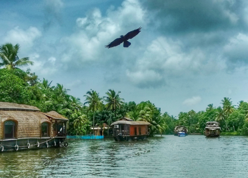 Les magnifiques backwaters du Kerala