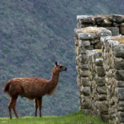 Voyages Individuels en Inde votre aventure inoubliable