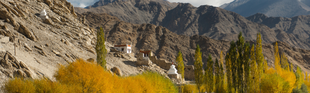 Guide du pratique au Ladakh