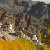 Guide du pratique au Ladakh