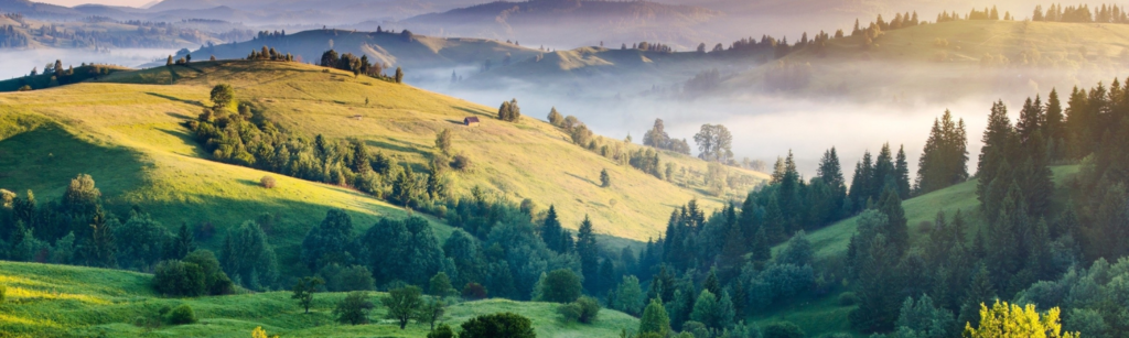 Location de Voiture en Inde du Nord