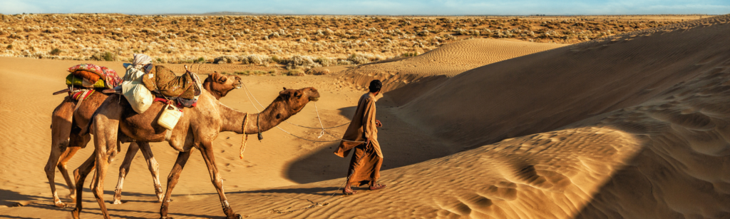 14 lieux à visiter au Rajasthan