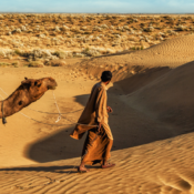 14 lieux à visiter au Rajasthan