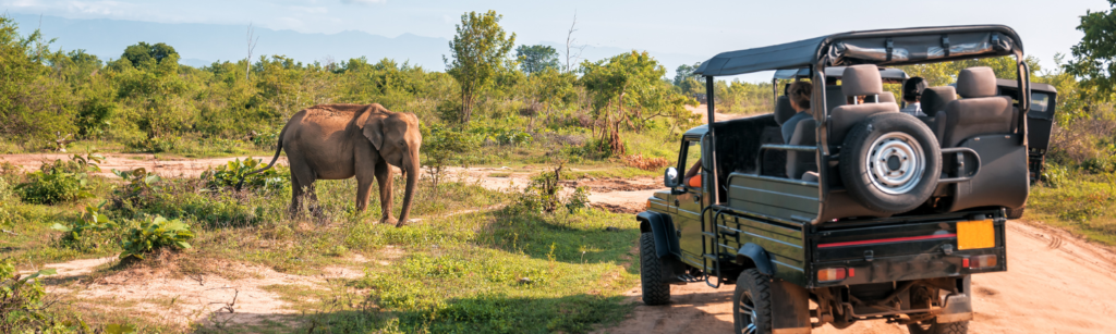 La Meilleure Expérience de Safari en Inde