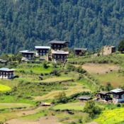 La Meilleure Période pour Visiter le Bhoutan Quand Partir au Bhoutan