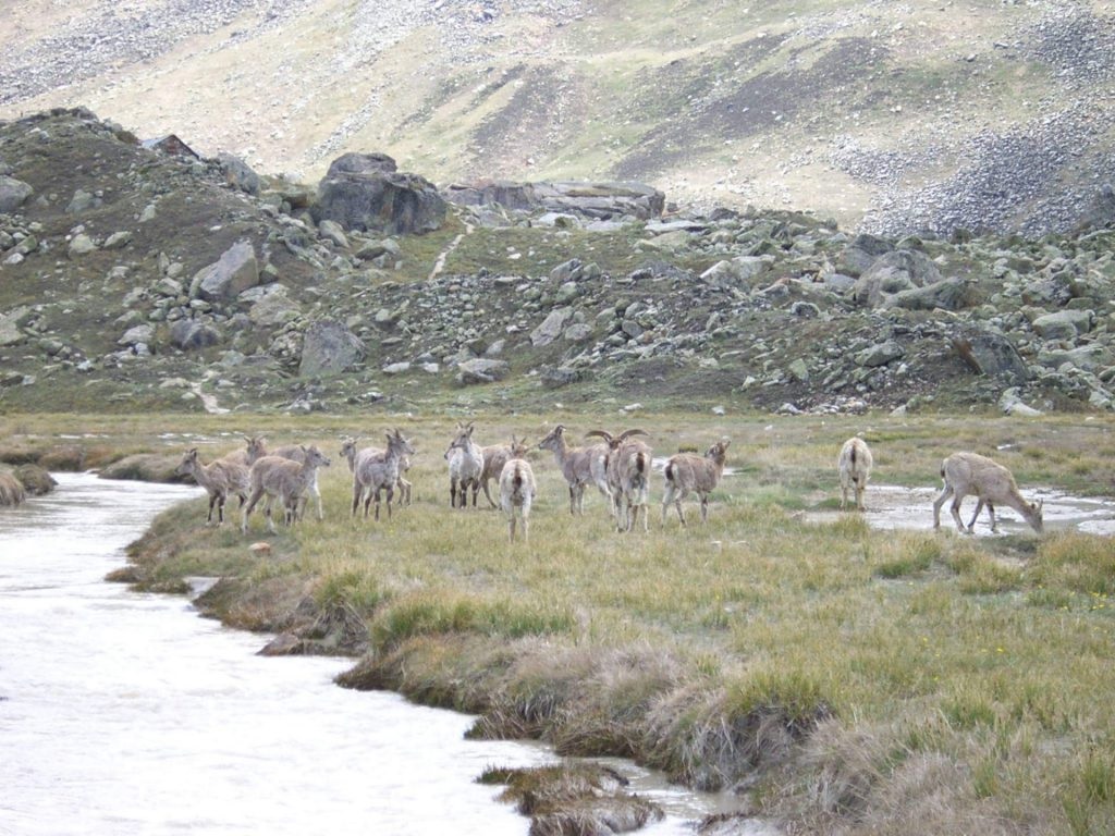 Randonnée la source du Gange