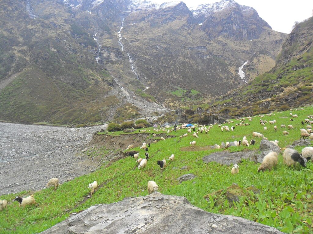 Les Meilleur Trekking au Uttarakhand et Himachal