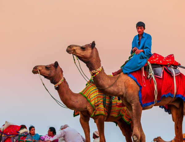 Désert de Jaisalmer Thar, Rajasthan