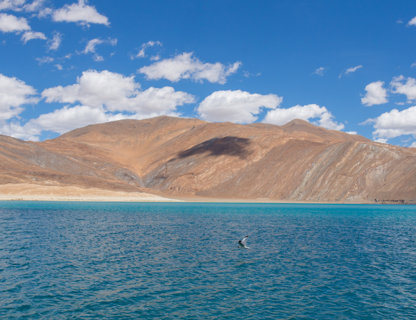 Lac Pangong – Ladakh