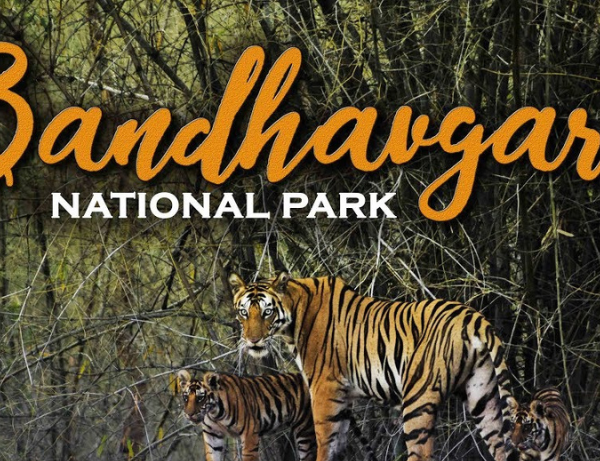 Parc national de Bandhavgarh