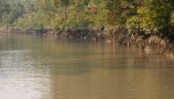 Parc national des Sundarbans-Bengale occidental