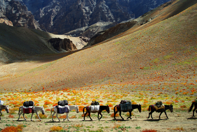 LEH, CAPITALE DU LADAKH