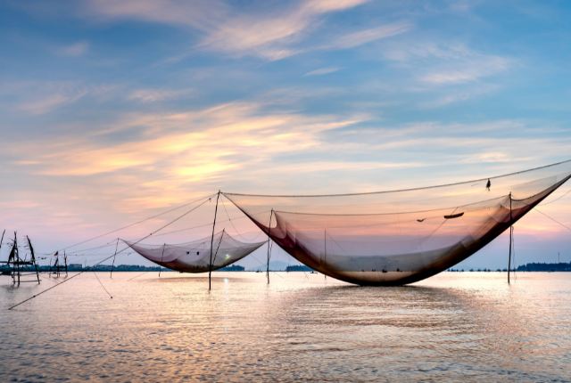 Découvrez attractions de Kochi