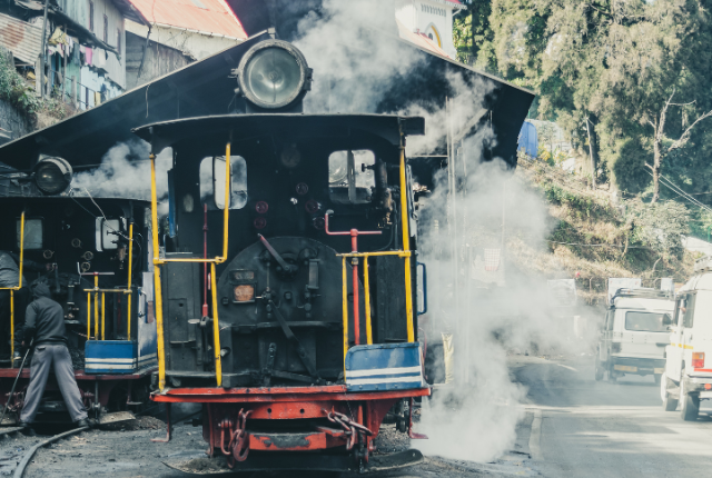 Plantation de thé de Darjeeling​