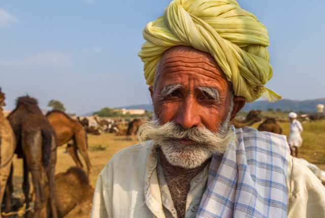 Conseils pour voyager au festival de Pushkar
